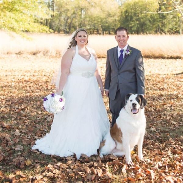 Henry Horton State Park Inn