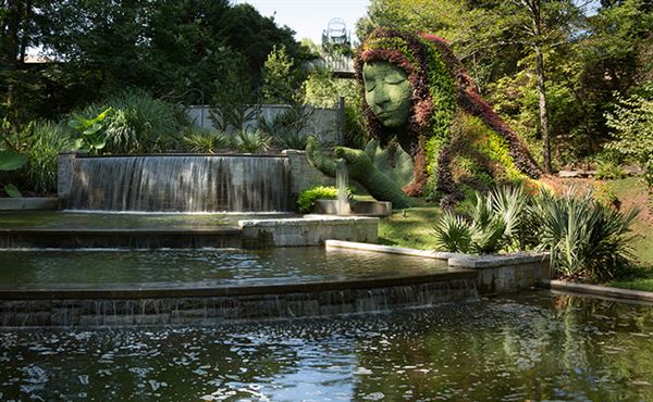 Atlanta Botanical Garden