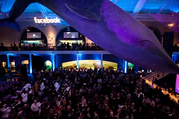 James Maher Photography