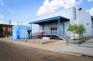 Christine DeVitt Icehouse