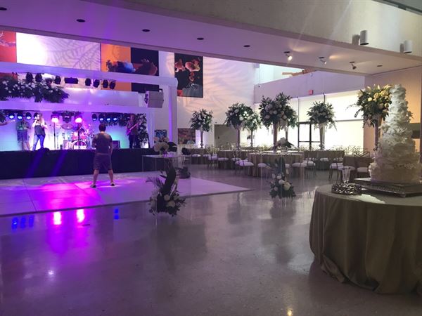 Art Museum Of South Texas