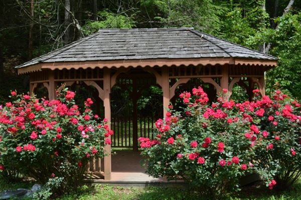 In The Smokies Weddings & Cabins