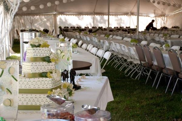 Buffalo Ridge Resort