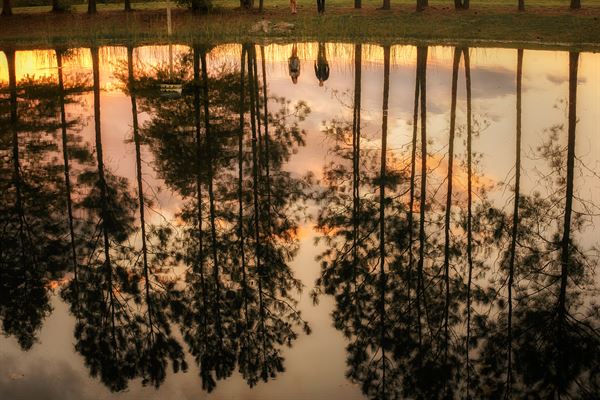 David Pezzat Photographers