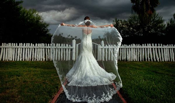 David Pezzat Photographers