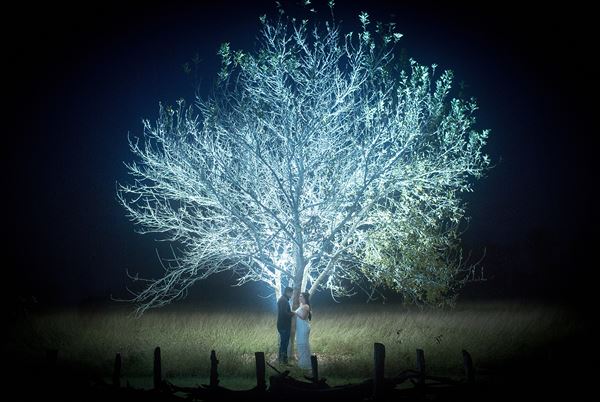 David Pezzat Photographers