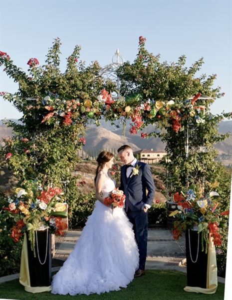 Extraordinary Wedding Arches