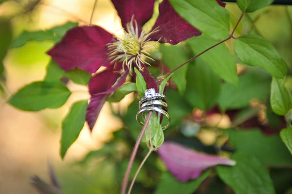 Heather DelPrincipe Photography