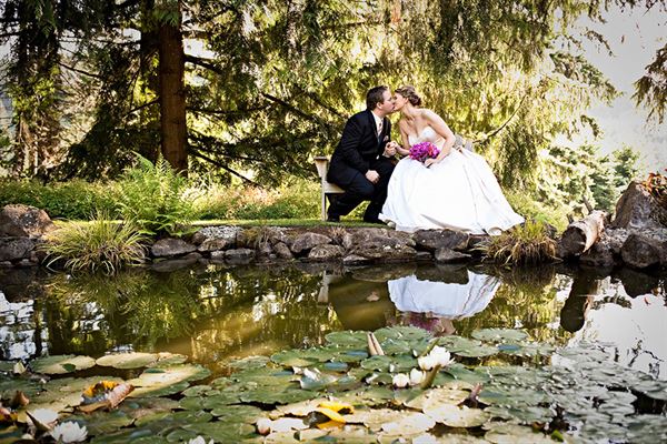 Vineyard View Celebrations