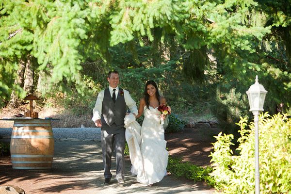 Vineyard View Celebrations