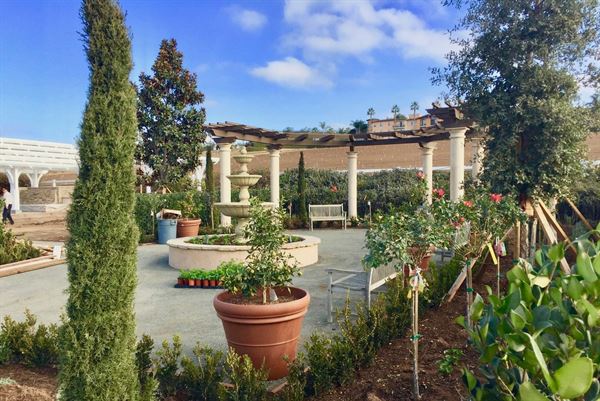 The Flower Fields at Carlsbad Ranch
