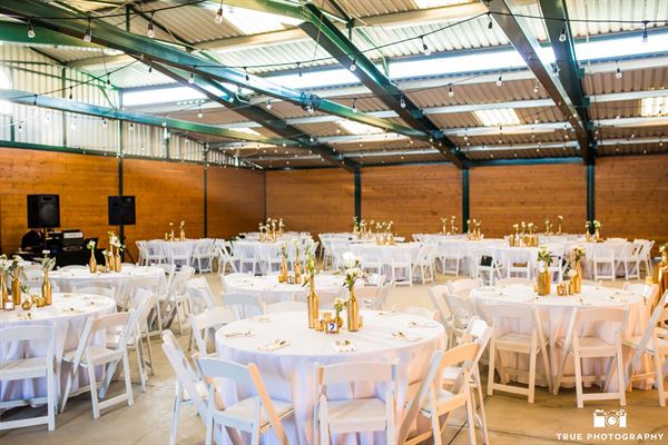 The Flower Fields at Carlsbad Ranch