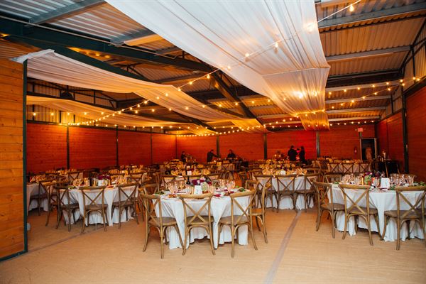 The Flower Fields at Carlsbad Ranch