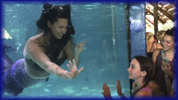 Blue Mermaid Designs