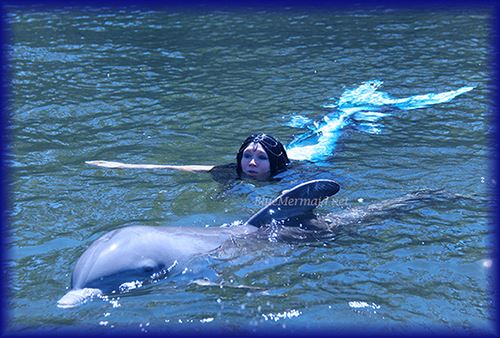 Blue Mermaid Designs