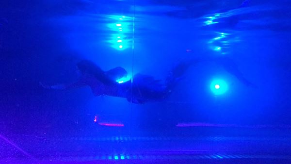 Blue Mermaid Designs