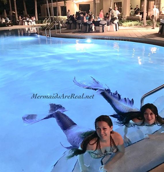 Blue Mermaid Designs