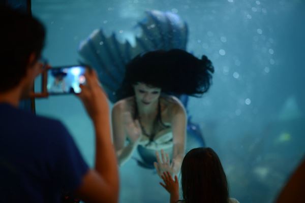 Blue Mermaid Designs