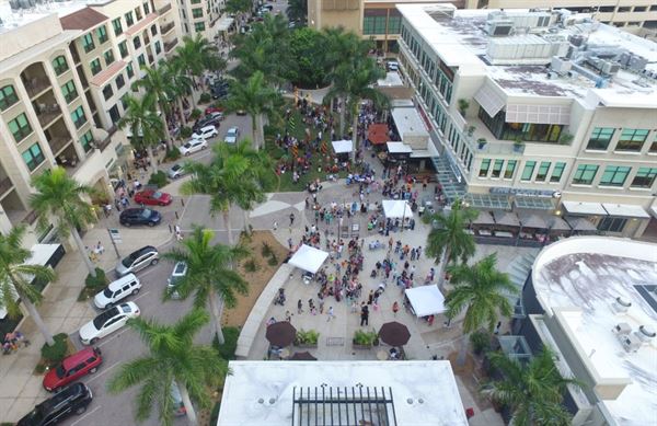 Professional Drone Solutions