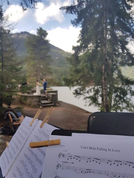 Whistler Music Services