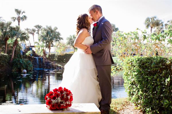 Eclipse Photo & Film