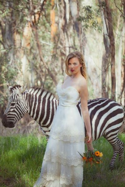 Weddings at Reptacular Animals Ranch in the Forest