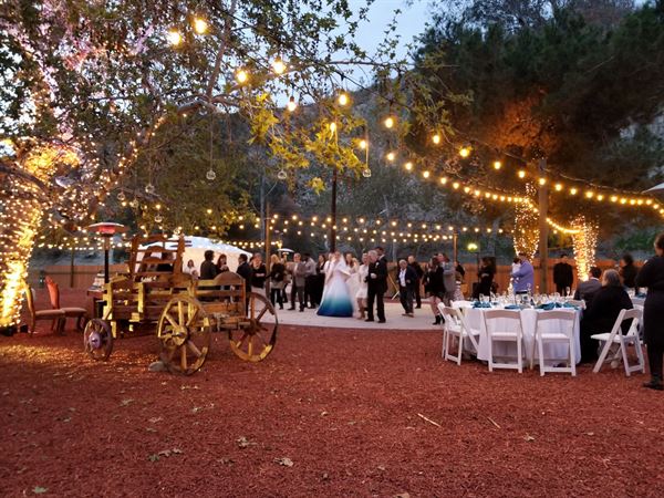 Weddings at Reptacular Animals Ranch in the Forest