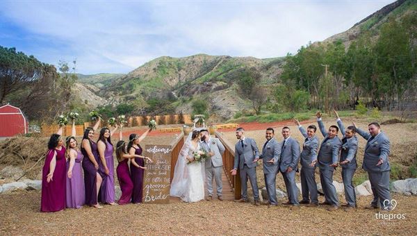 Weddings at Reptacular Animals Ranch in the Forest