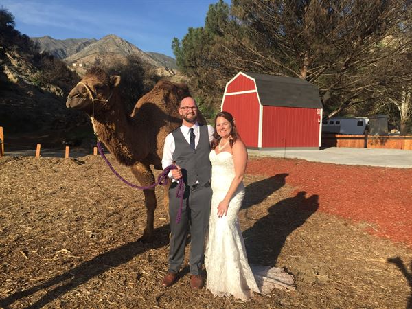 Weddings at Reptacular Animals Ranch in the Forest