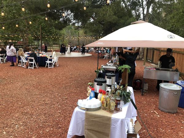 Weddings at Reptacular Animals Ranch in the Forest