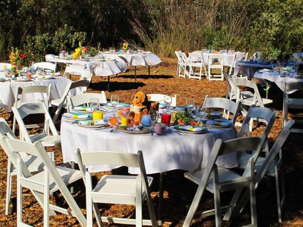 Weddings at Reptacular Animals Ranch in the Forest