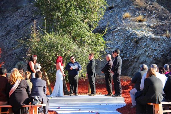 Weddings at Reptacular Animals Ranch in the Forest