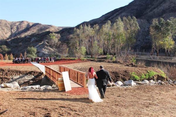 Weddings at Reptacular Animals Ranch in the Forest