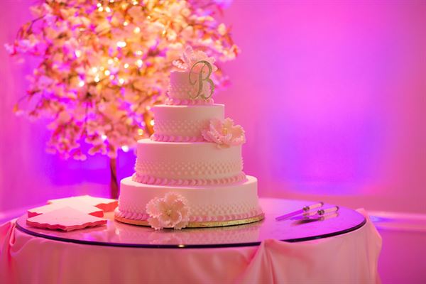 Silver & Sage Studios -  Florida Wedding Photography