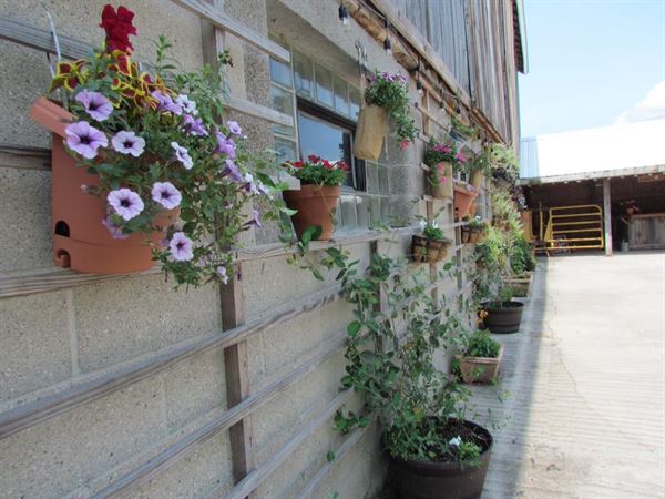 Orchard Valley Acres