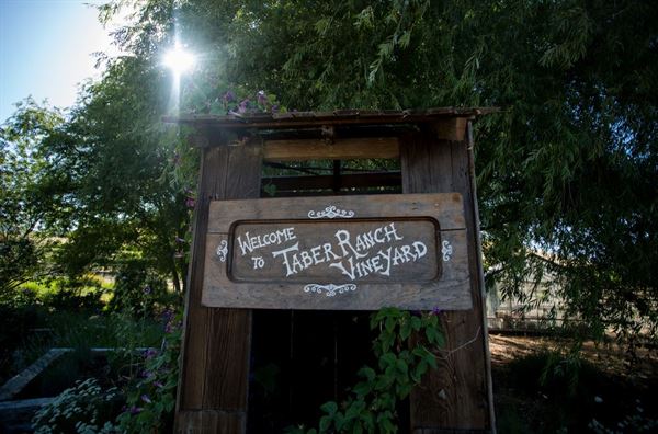 Taber Ranch Vineyards & Event Center