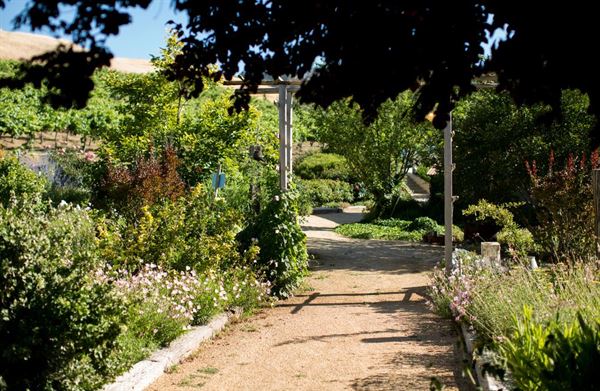 Taber Ranch Vineyards & Event Center