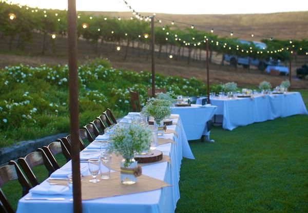 Taber Ranch Vineyards & Event Center