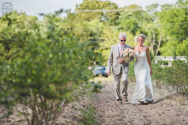 DiMeo Farms & Blueberry Plants Nursery