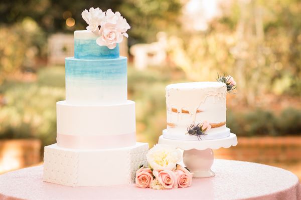 Diamond Edge Photography