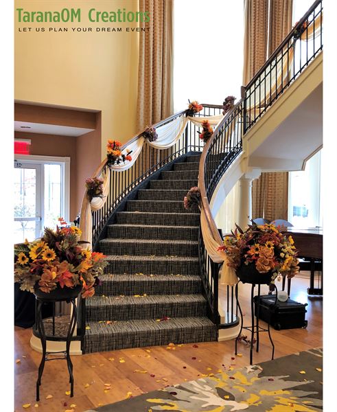 TaranaOM Creations !