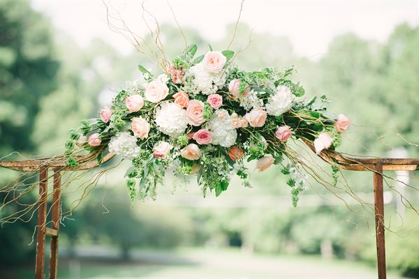 Photography by terri