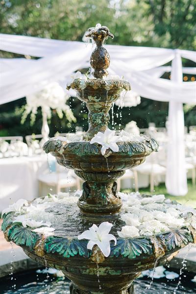 Intrigue Design + Events