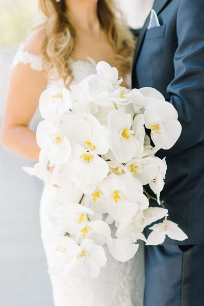 Intrigue Design + Events