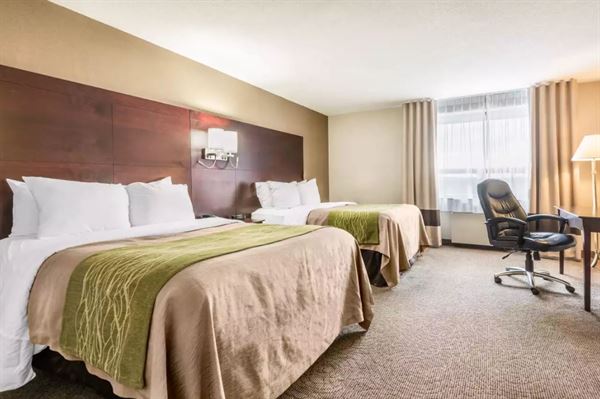 Comfort Inn & Suites