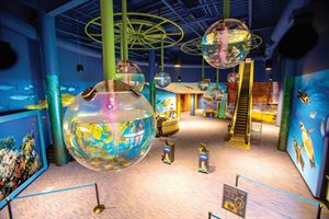 Full Aquarium Buyout