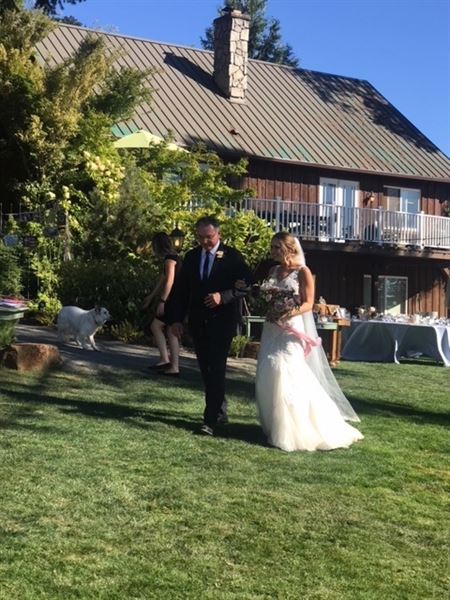 Vineyard View Celebrations