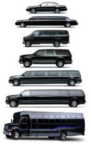 Charter Everything Inc