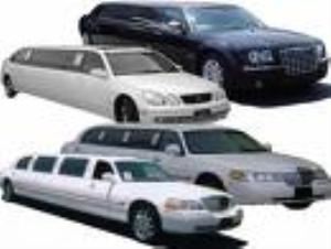 Charter Everything Inc