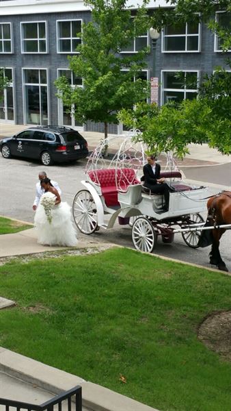 Platinum Affairs Events